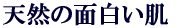 �V�R�̖ʔ�����
